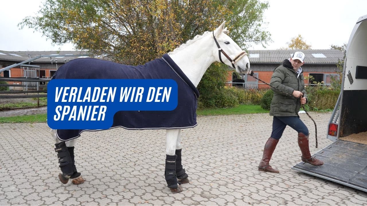 Spanier verladen