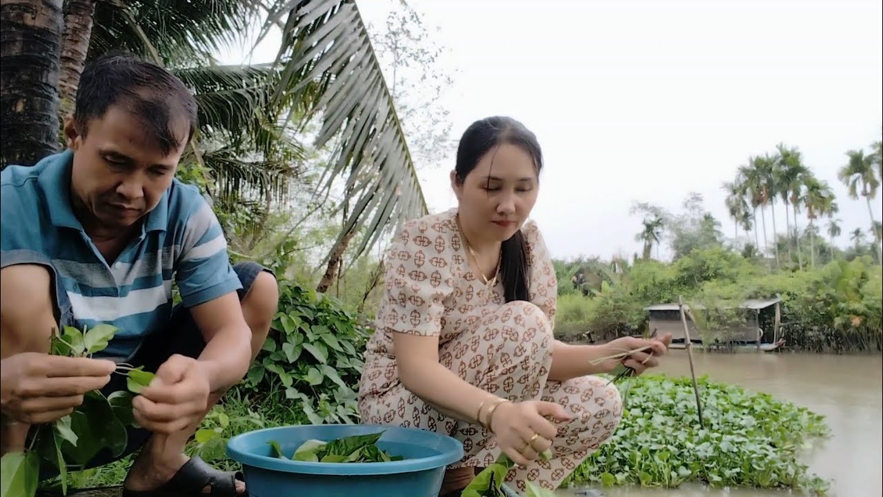Chiều Mưa Đi Hái Lá Cách Về Làm Ếch Xào Rất Ngon 
