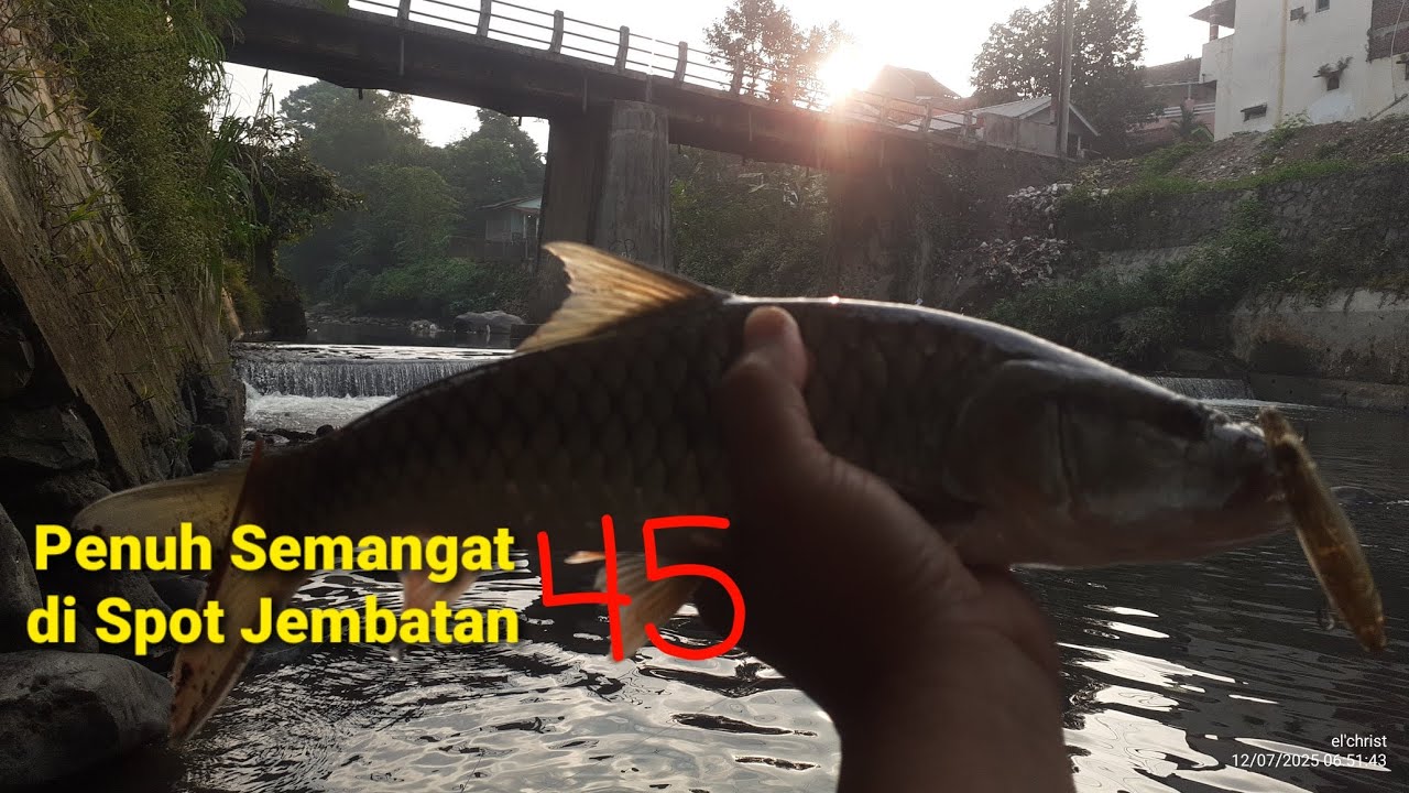 POIN HAMPALA SIZE MBEROD DI KONDISI AIR KECIL - SPOT JEMBATAN 45