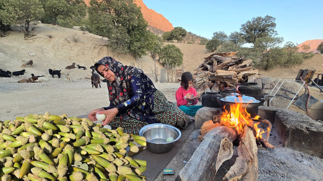 🌰🍂Kulthum's Amazing Day: 🐏 🌳 Oak picking and a pure moment of simple nomadic life 🌰❤️