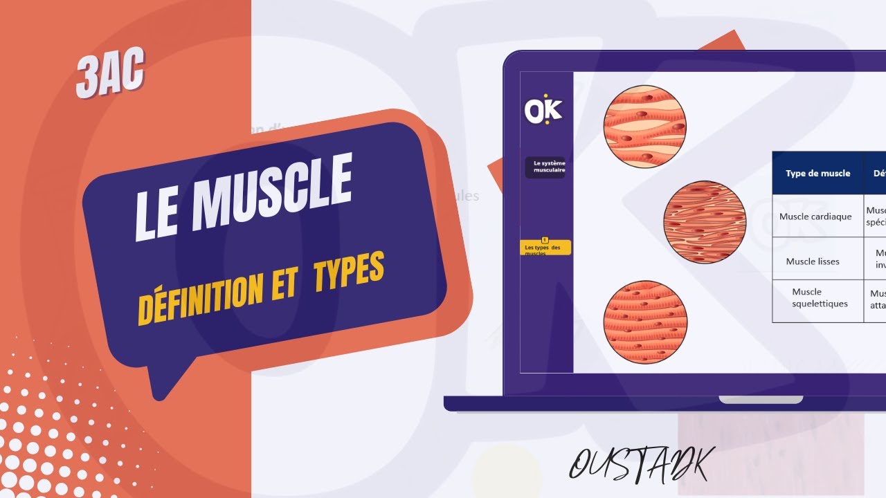 3AC | D&eacute;finition d'un muscle & ses types
