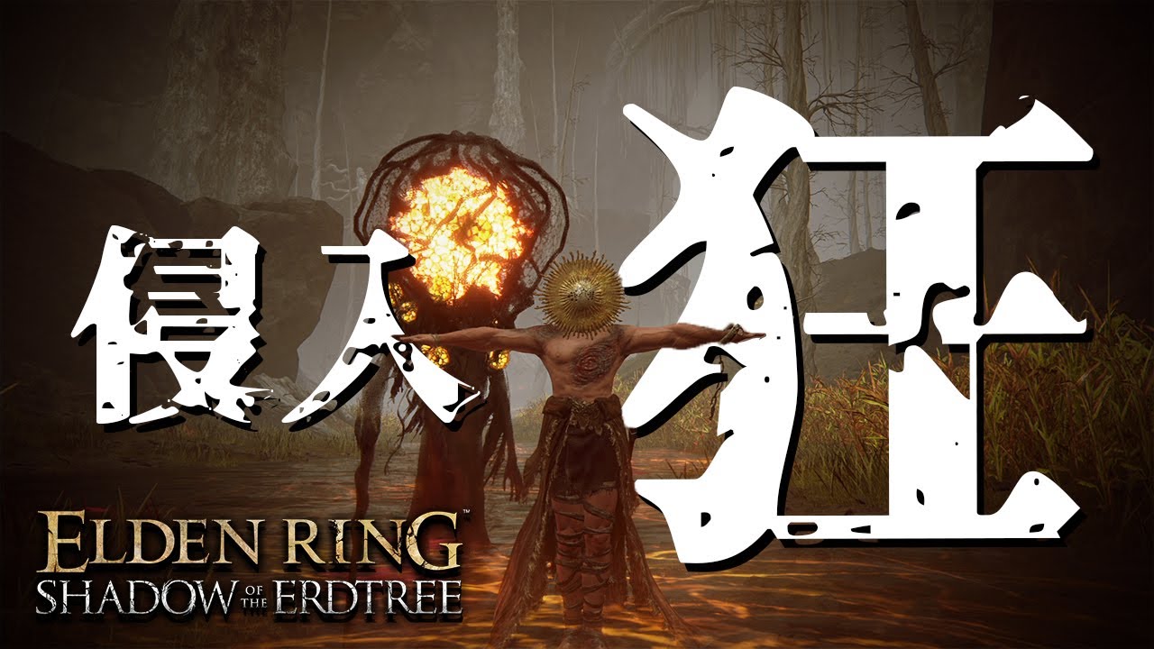 【エルデンリングDLC】汚い侵入　part19【ELDEN RING】PVP