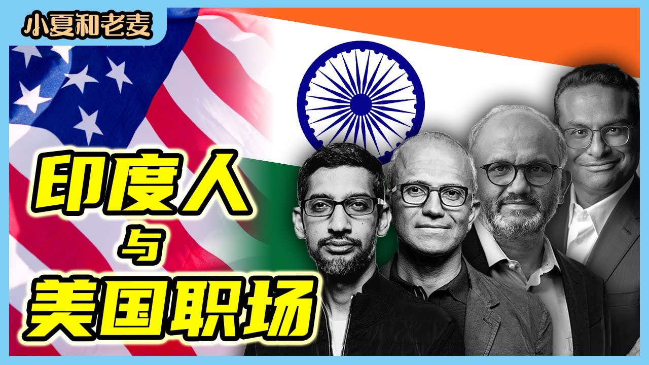 在美国 印度人为什么比中国人混得好？美国职场上印度人做了什么？| 小夏和老麦
