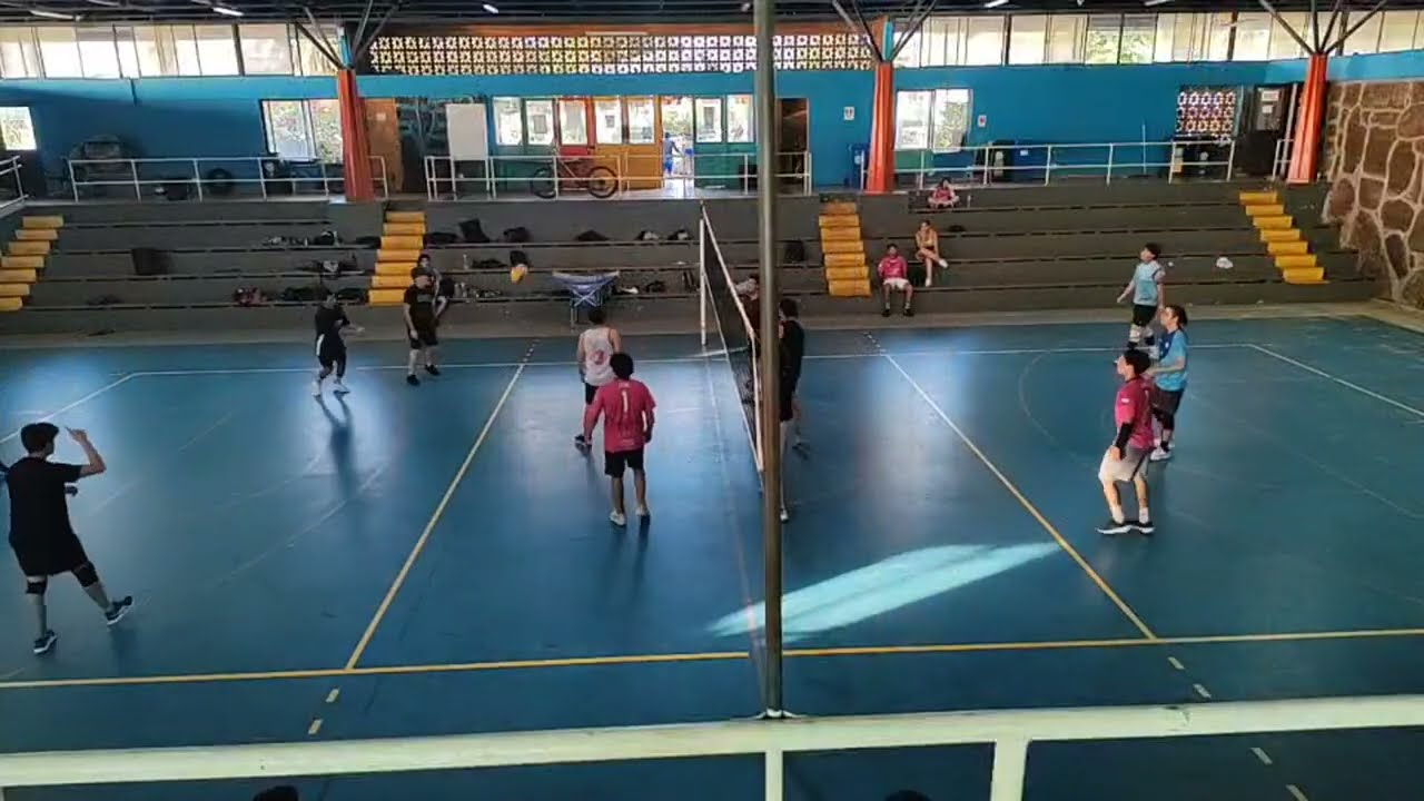 voleibol kimi te re está en vivo