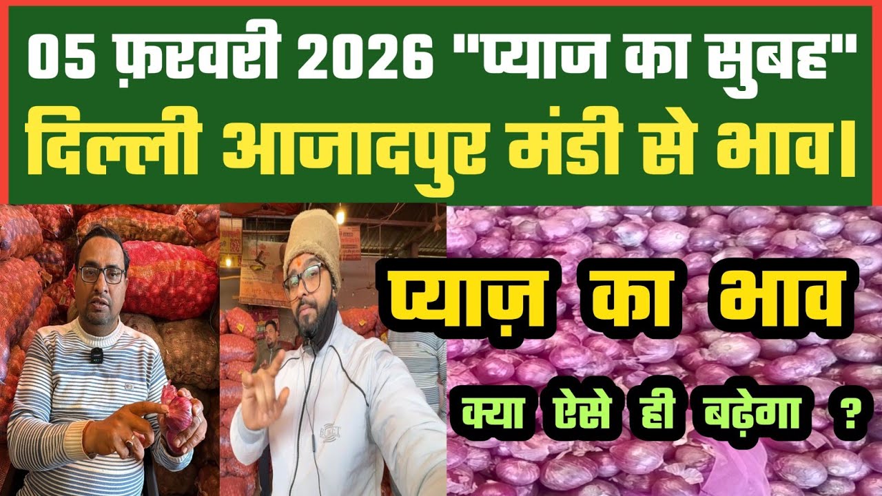 प्याज आगे बाजार अच्छा कैसे ? Azadpur Delhi Mandi Today में 05-02-2026 के Onion Price DMT TV