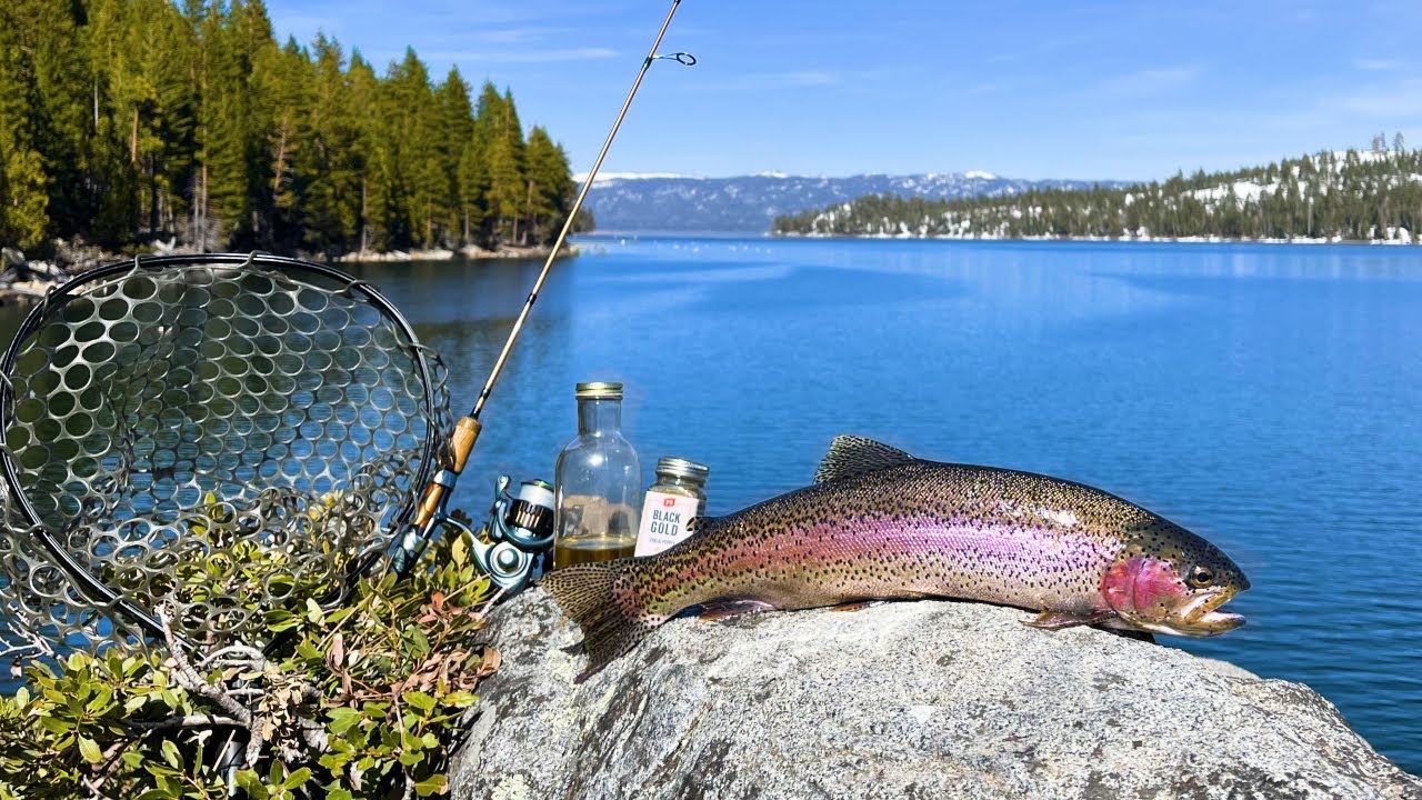 SOLO Trout Fishing and KAYAKING a DEEP Mountain Lake! (Big Trout Catch & Cook!)