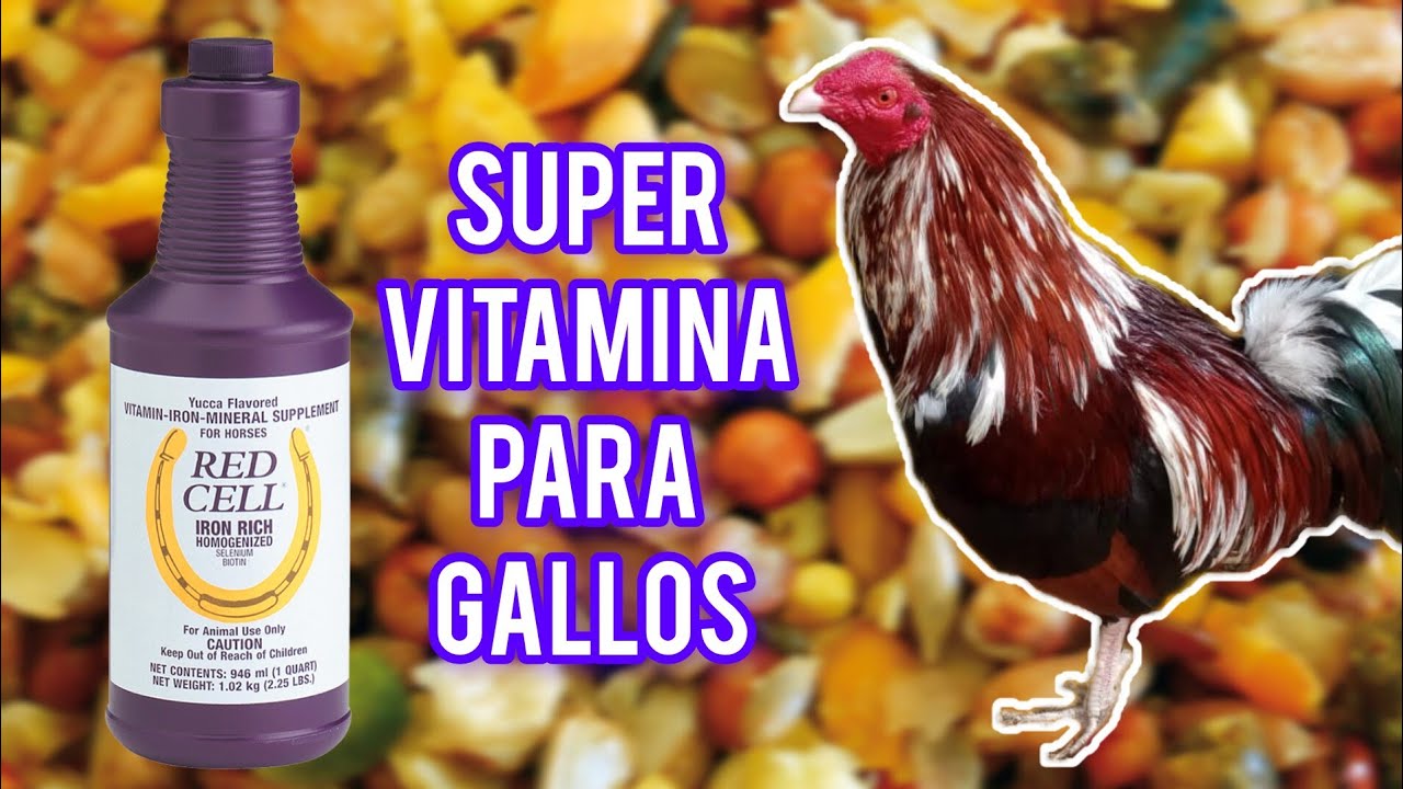 Super vitamina para gallos