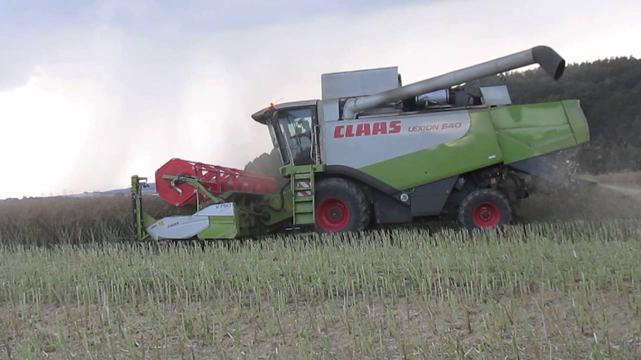 Žně Žatva ,Harvest,   Řepky olejn&eacute; 2014 (Claas Lexion 540 V750)