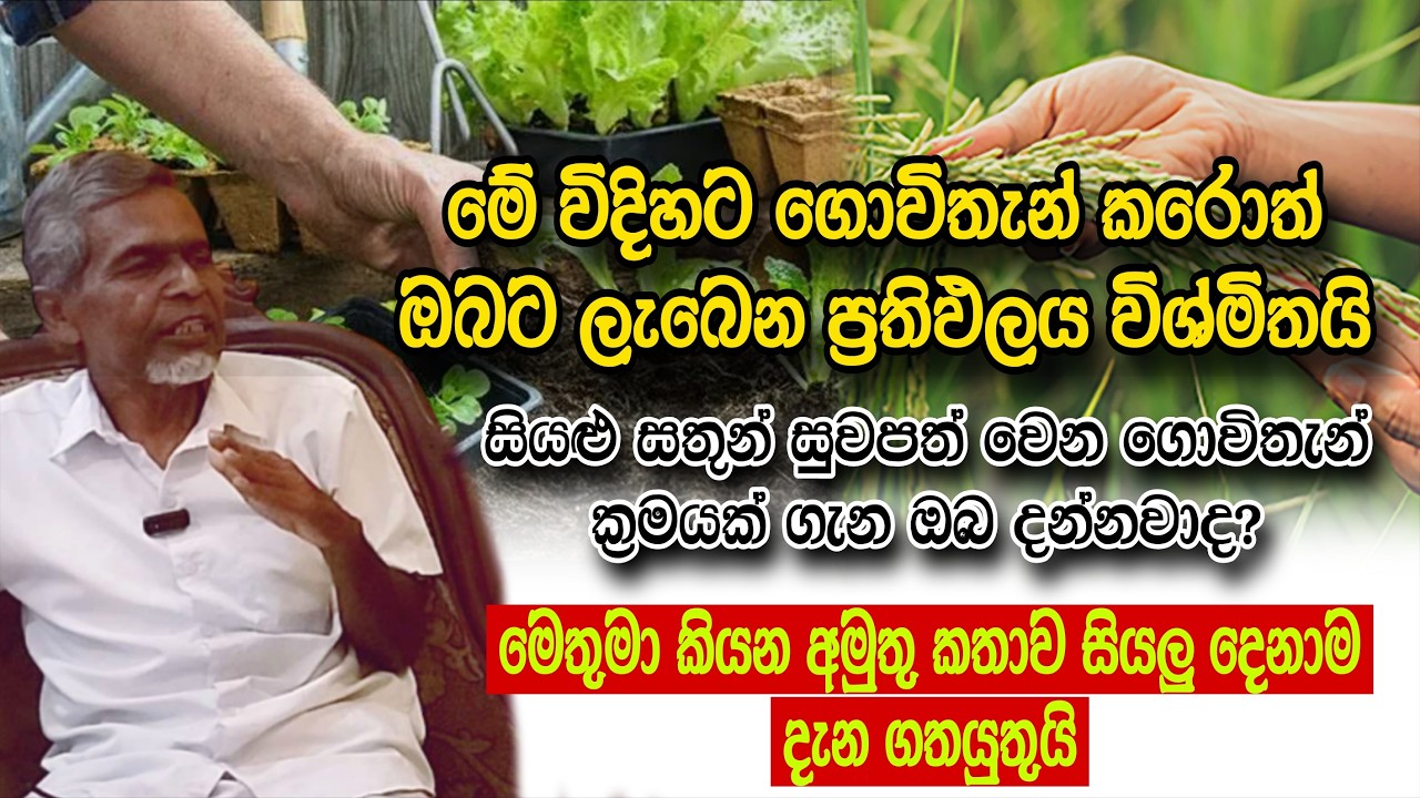 හැමෝම දන්න ගොවිතැනේ නොදුටු විශ්මිත පැතිකඩ Episode 01 | Agriculture in Sri Lanka | SeeHela