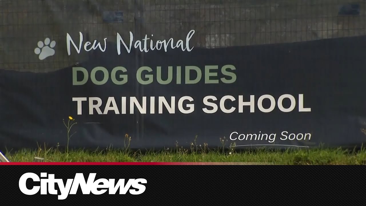Construction paused on guide dog training facility amid $20-million funding shortfall