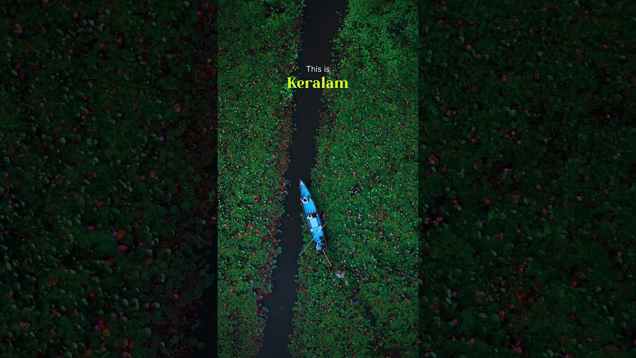 Kerala Monsoon Villages Location Kottayam  #malarikkal #kerala #travel #kottayam