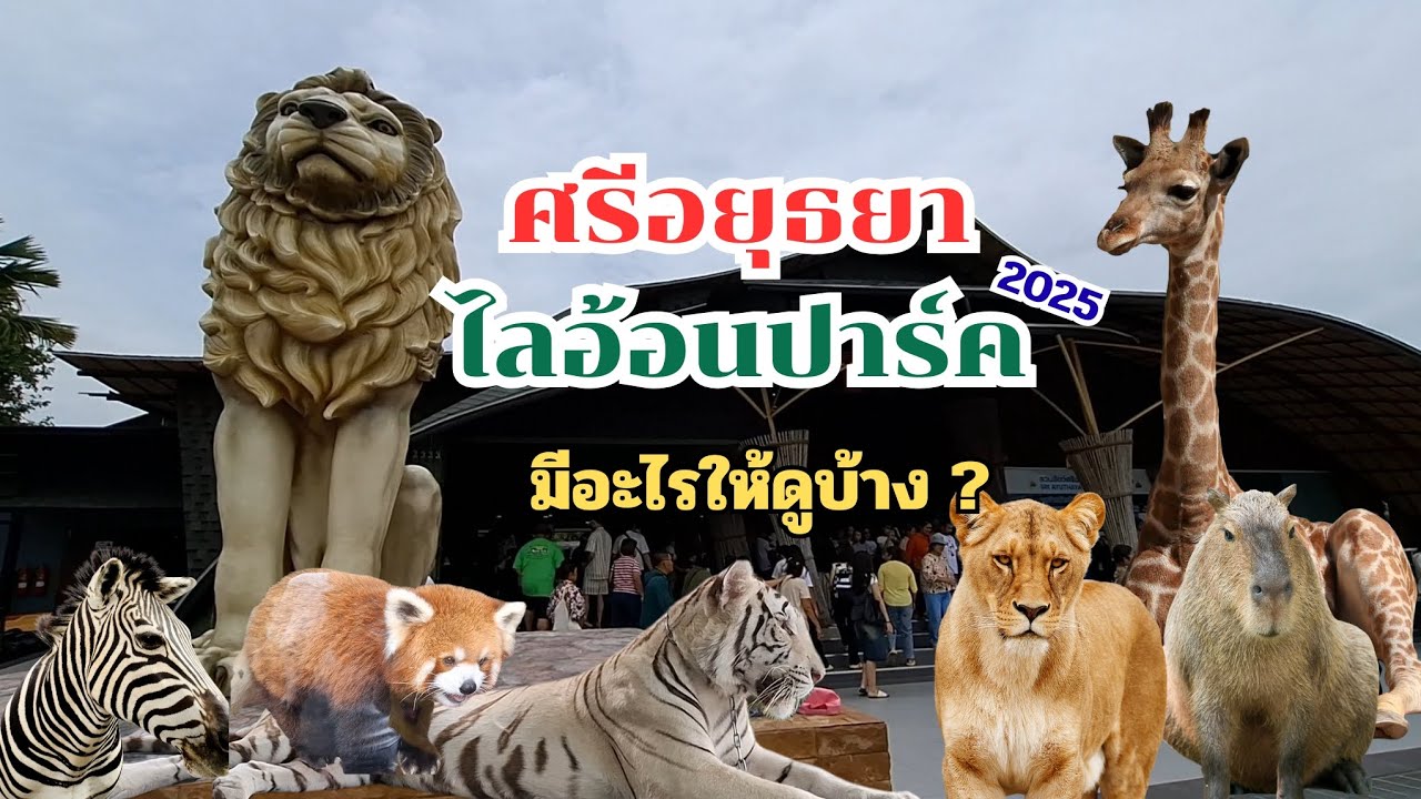ศรีอยุธยาไลอ้อนปาร์ค 2025 มีสัตว์อะไรให้ดูบ้าง