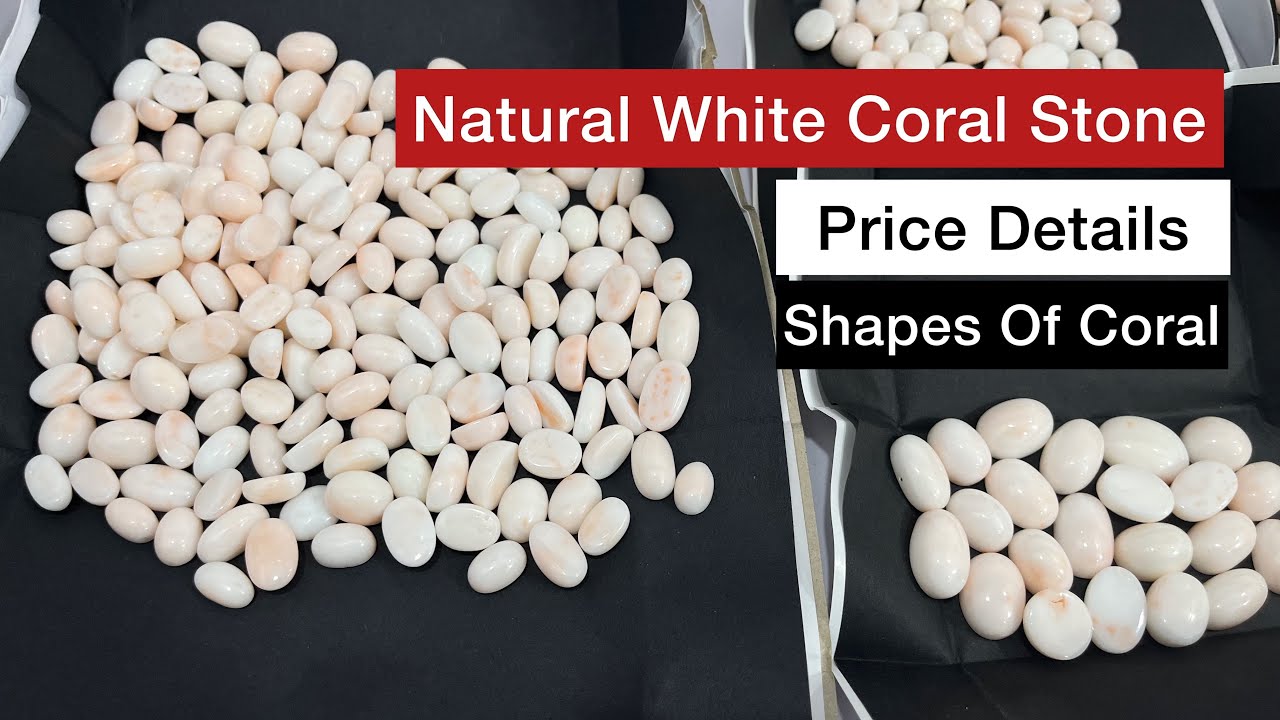 Natural WHITE CORAL PRICE | Shapes of White coral stone with price | सफेद मूंगा | Safed Moonga Price