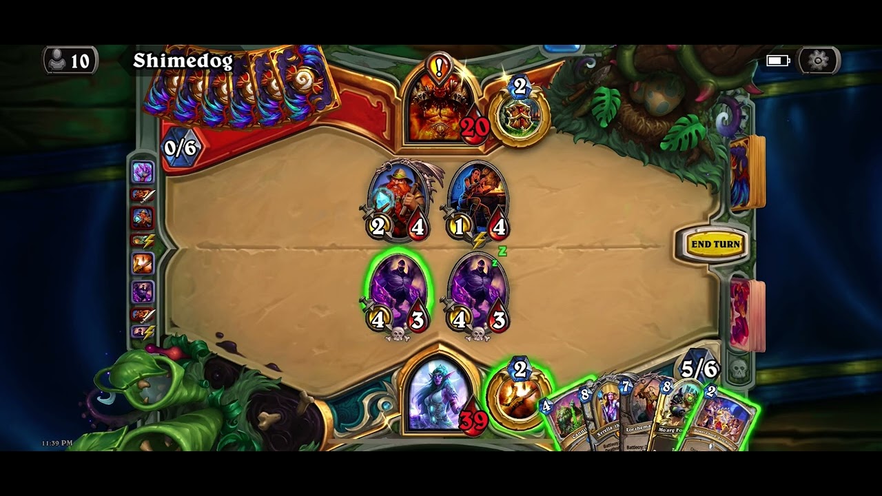 Hearthstone Wild Format!