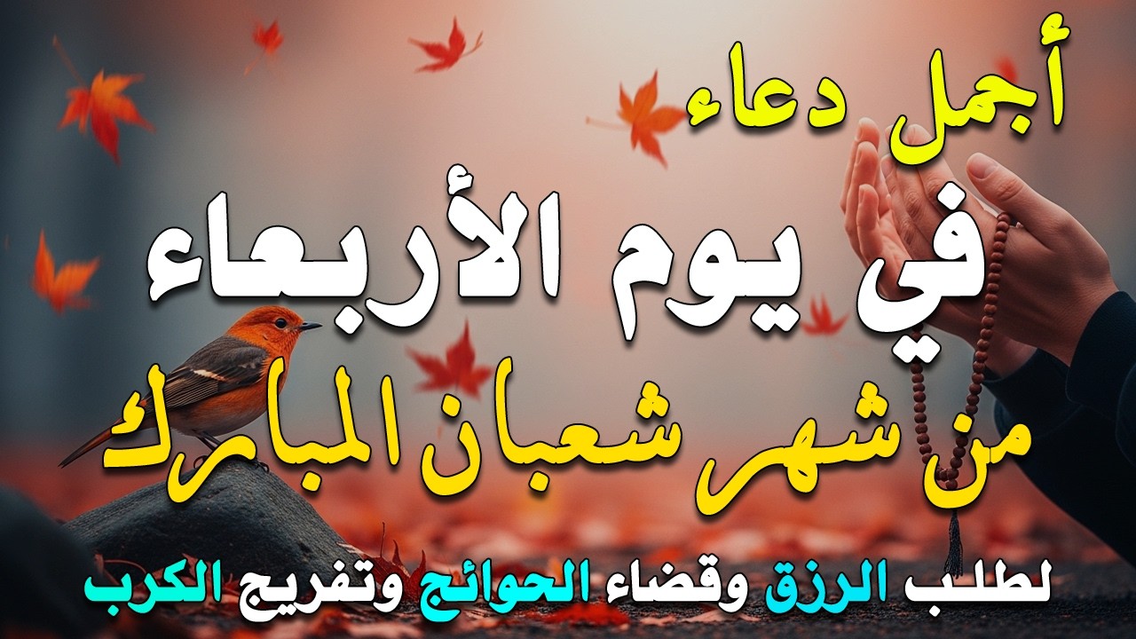 دعاء فى يوم السبت المستجاب دعاء في يوم 19 من شهر شعبان للرزق والشفاء العاجل وقضاء الحوائج 🤲(4k)