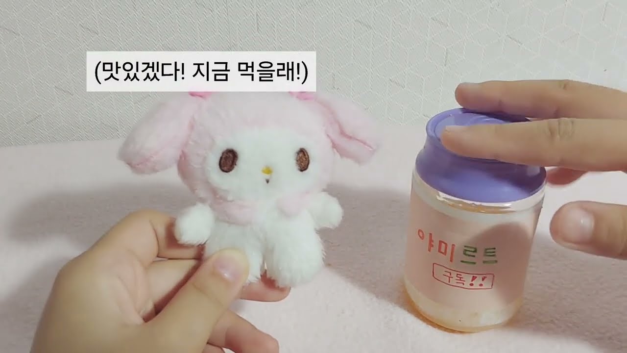인형계 자기 직전 브이로그