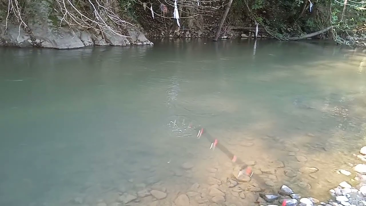 ქაშაპზე თევზაობა/Fishing on Kashap