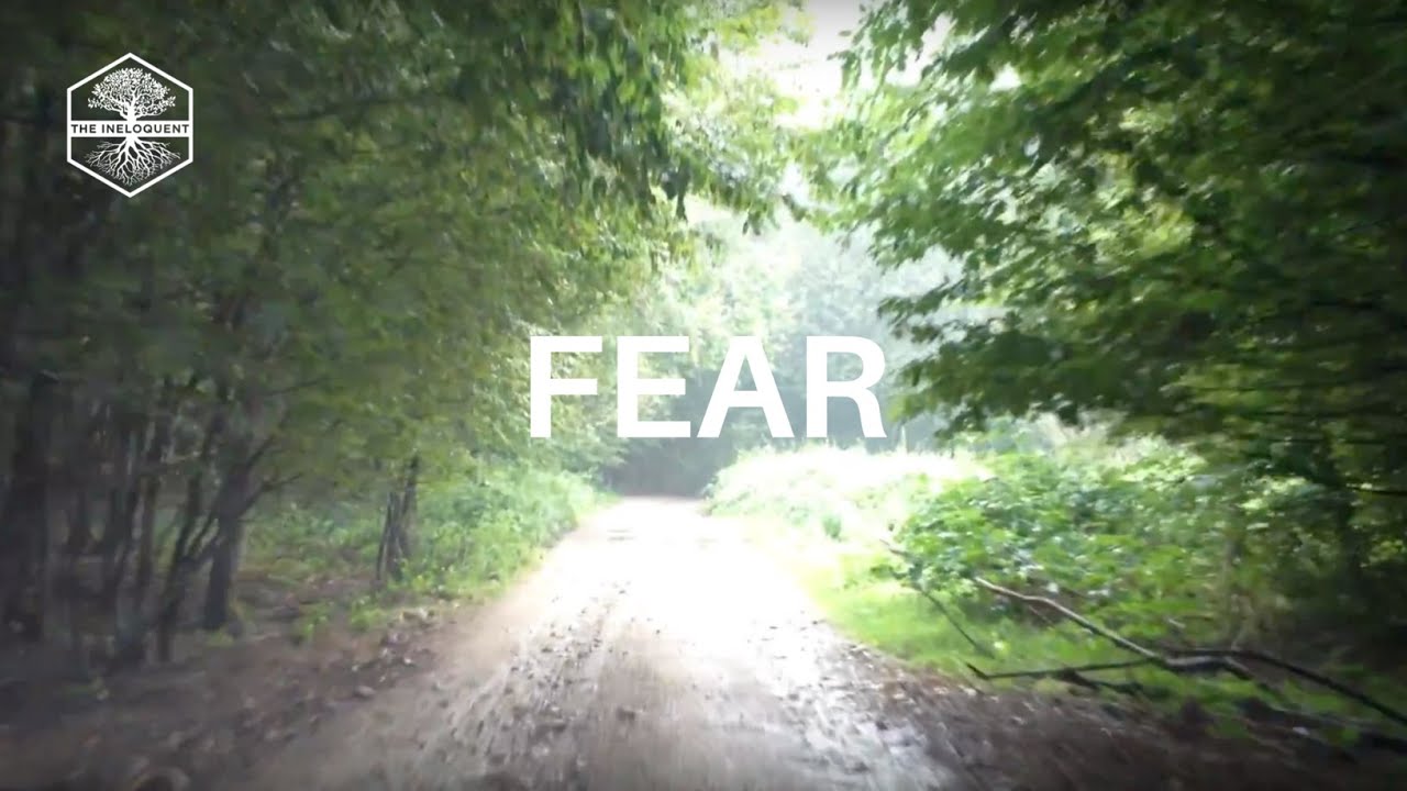 The Ineloquent - Fear (Official Lyric Video)