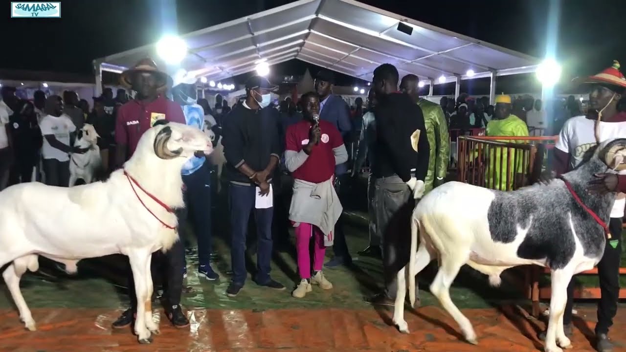 FOIRE MBORO RESULTATS MALES