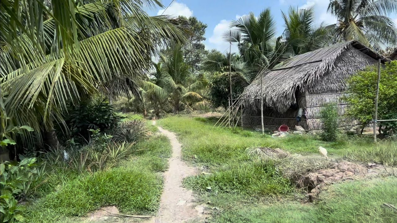 Căn Nhà Lá Mộc Mạc Giữa Vùng Quê Hẻo Lánh Bình Yên Lạ Thường.