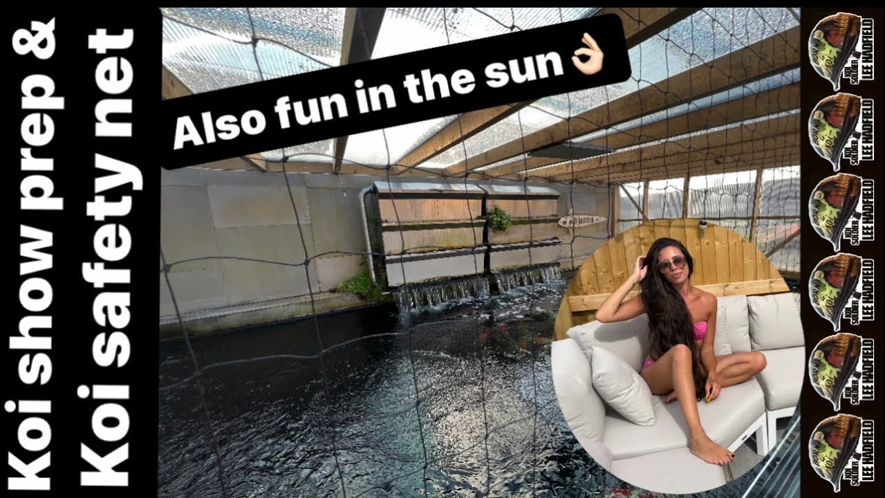 Koi show prep, koi safety net & hot days in the garden 🫶🏻