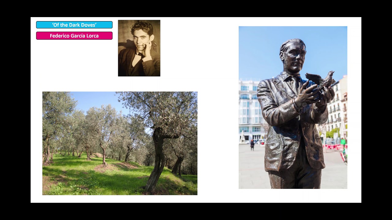 APAD - Frederico Garc&iacute;a Lorca