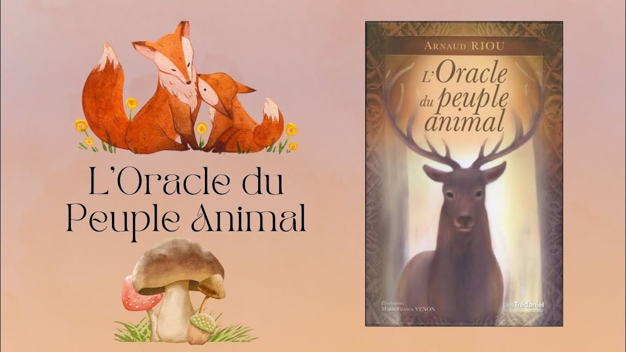 L’Oracle du Peuple animal un oracle puissant ! 🐿️🦌 #oracle #revieworacle #animaux #cartomancie