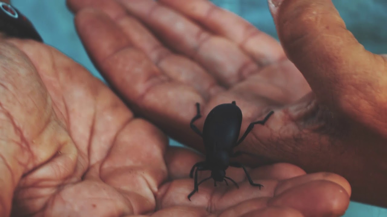 Journal of an Angler: Riba-Roja Spain, Summer Fishing Short Film
