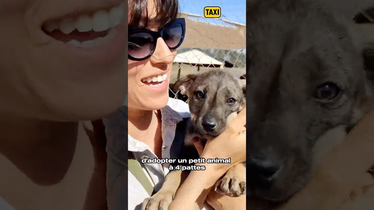 julia, la femme qui sauve les chiens caboss&eacute;s du Maroc ❤️