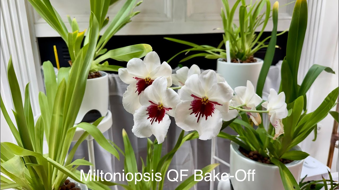 Bloom & Spike Tour | SPECIAL Blooms for February | More on the way for March 
