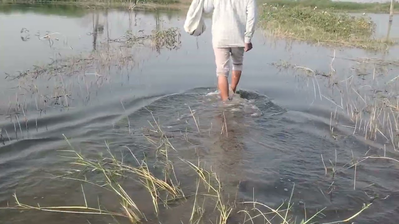 परत गंगेला गेले पांडू तात्या#godavari #farmer #pipelikamotivation #river 