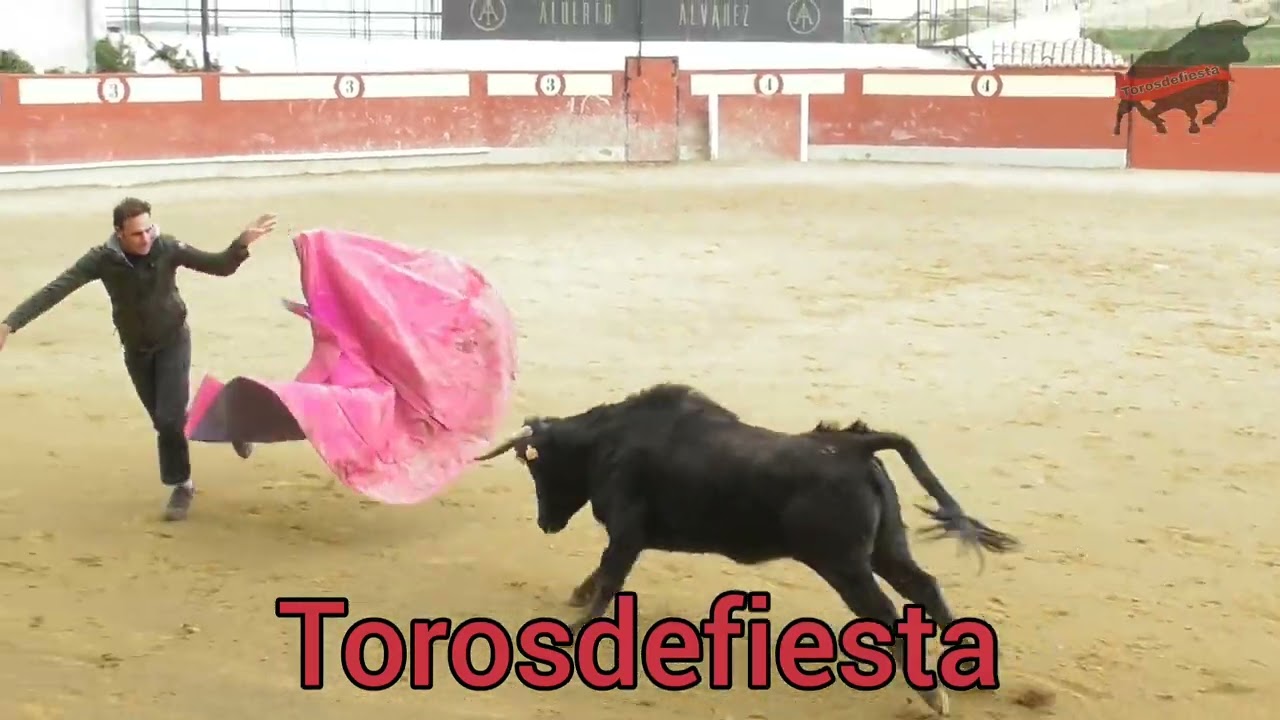 Tienta Ganadería Alberto Álvarez