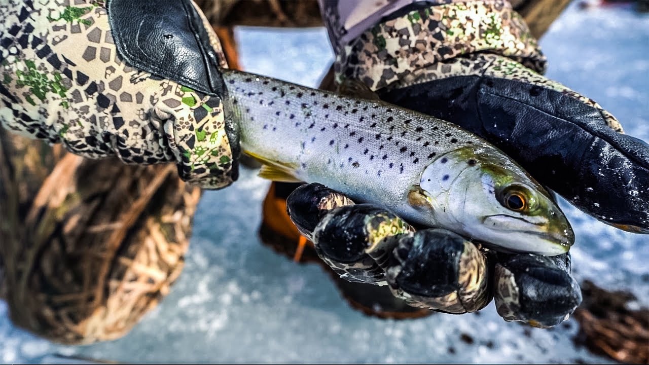 BROWNS & RAINBOWS on Diamond Lake | Ice Fishing for Trout