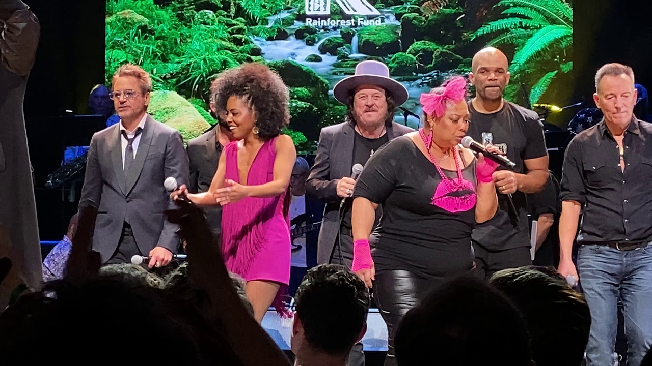Zucchero, Sting, Bruce Springsteen, Bob Geldof, Annie Lennox, Shaggy - Rainforest Fund New York