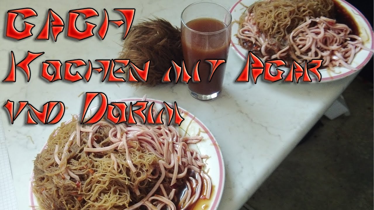 Gagh - Kochen mit Agar und Dorim