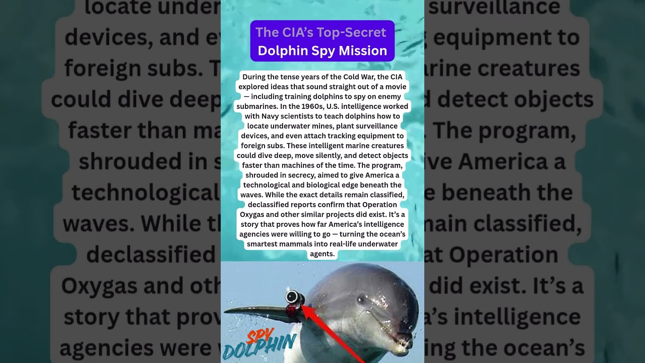 The CIA’s Top Secret Dolphin Spy Mission 