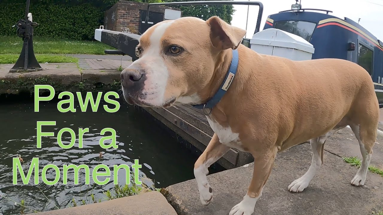 Ep 13 Narrowboat Journey on the Stourbridge Canal