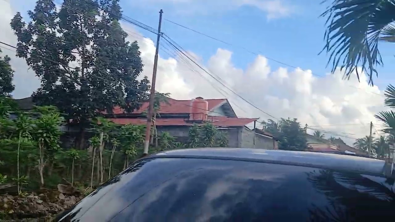 La rue de la neurologue/Jalan ahli saraf...