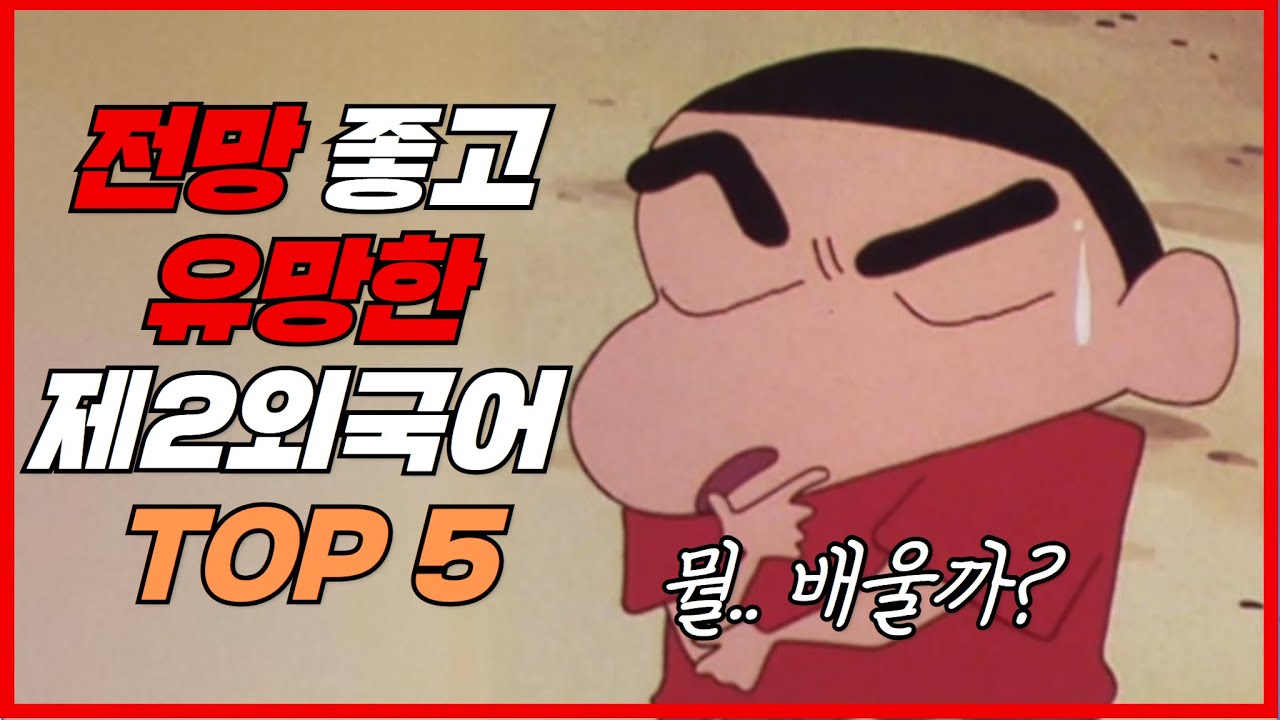 전망 좋고, 유망한 외국어 추천 TOP5