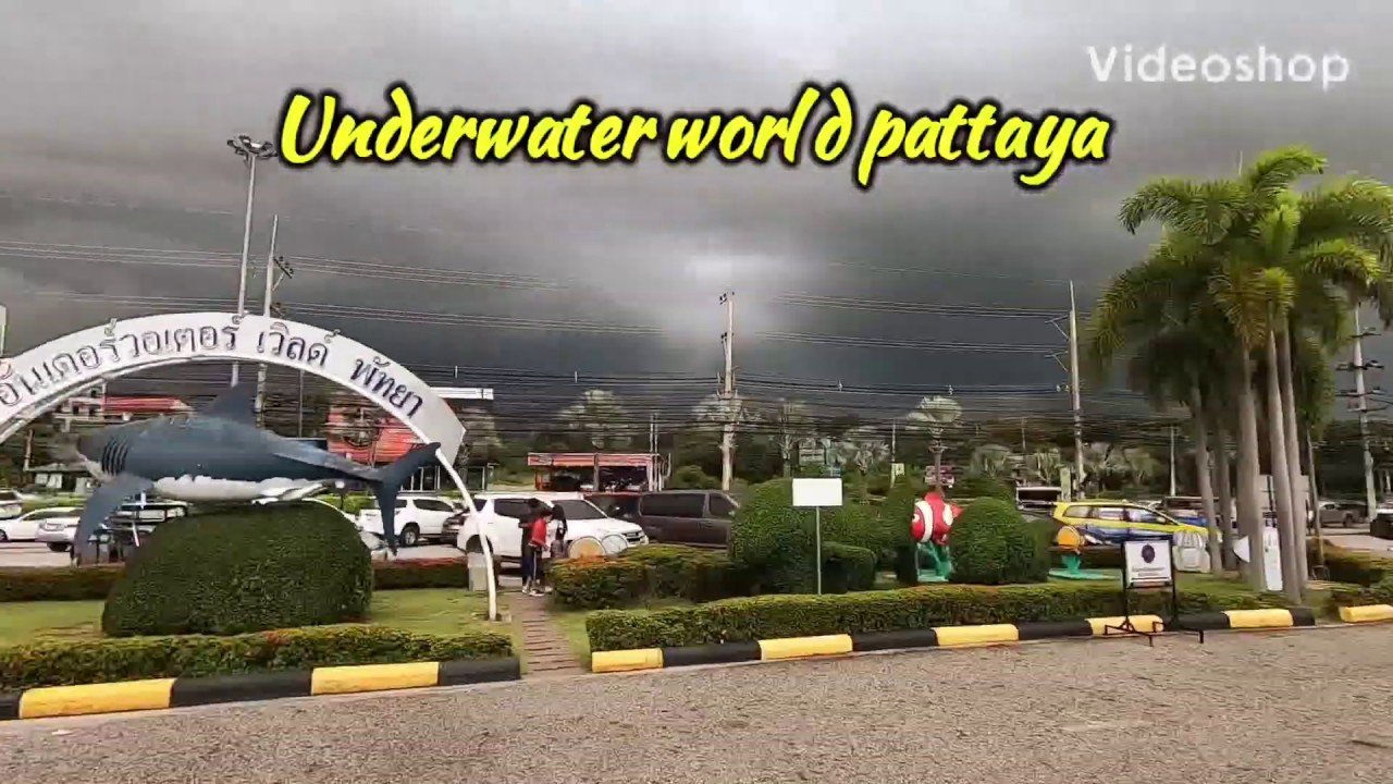Underwater World Pattaya thailand 🇹🇭 |Biggest fish aquarium of Pattaya|4k