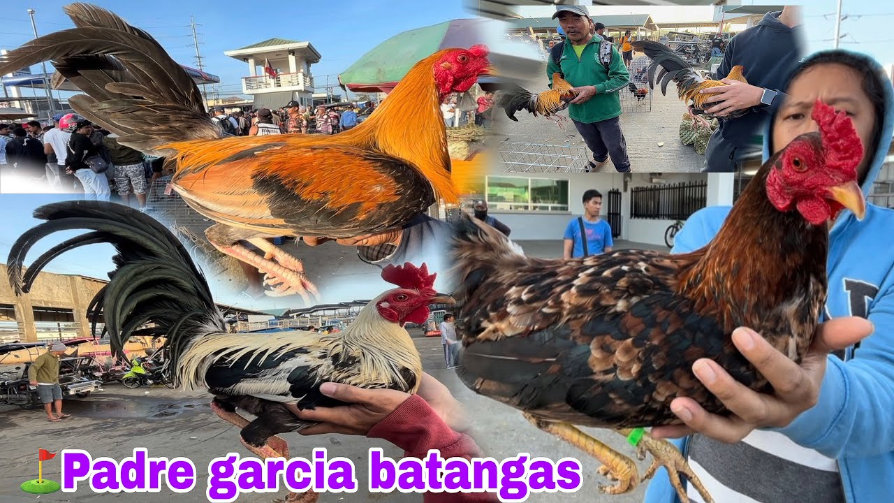 March 03 2026 in Padre garcia batangas&hellip;