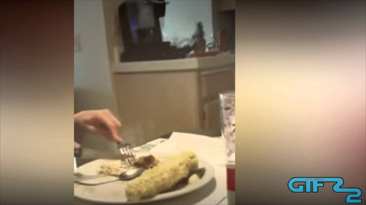 GIFs With Sound #26    FAN FRIDAY  February 2015