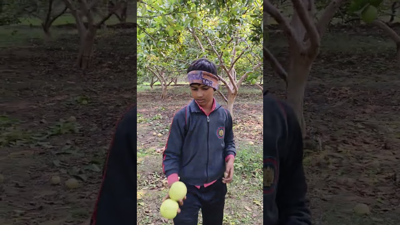 farming blog garden of guava part 2 #youtube #youtubevideo #ytshorts #farming #farmblog #nature