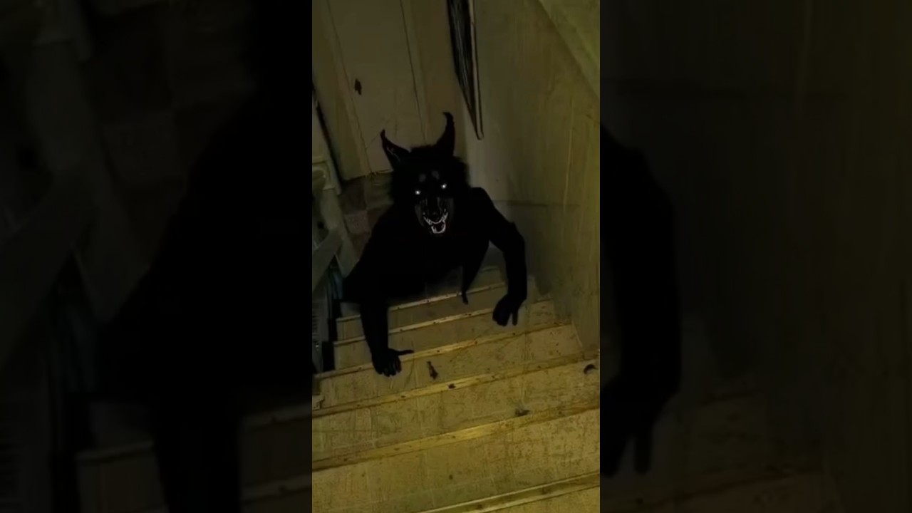 Um lobisomem ou um Skinwalker.