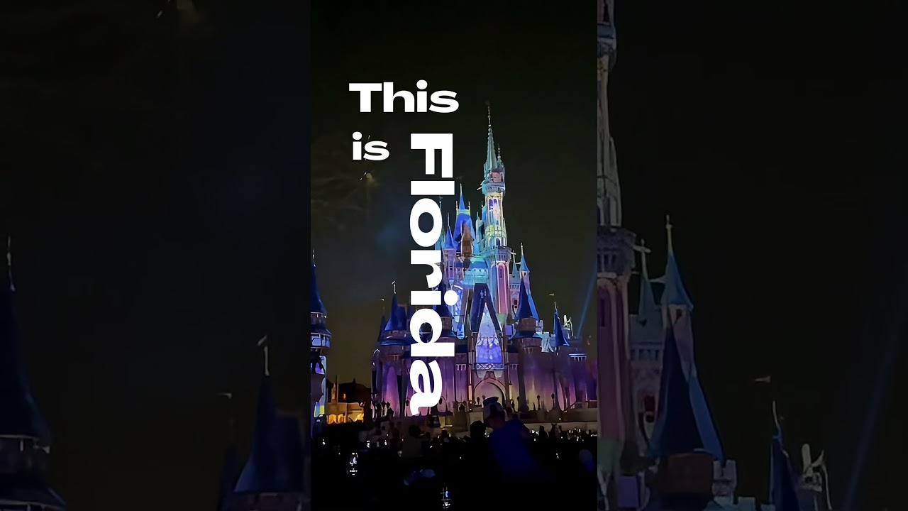 This is Florida! 🏰☀️🐊