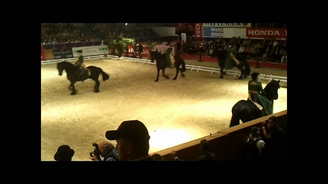 10. Nacht der Schwarzen Perlen (2011)