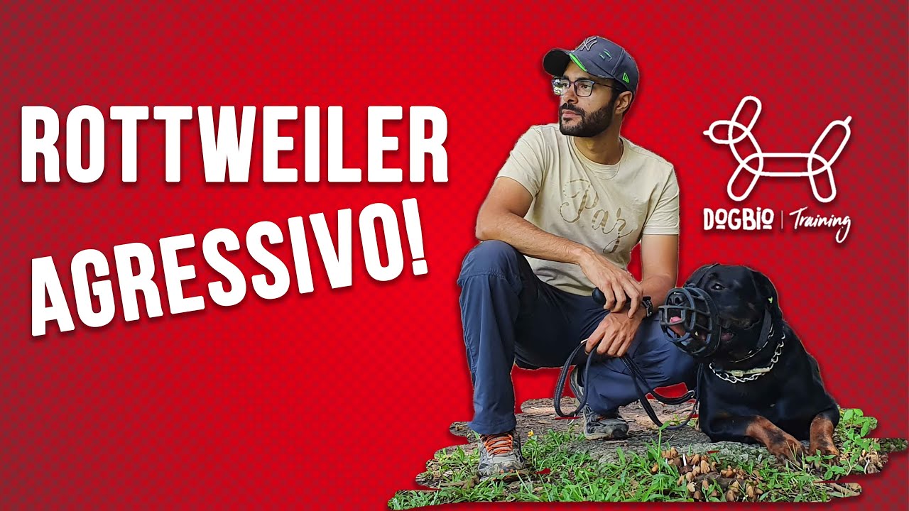 FUI COM UM ROTTWEILER AGRESSIVO NO PARQUE DO IBIRAPUERA E OLHA NO QUE DEU!