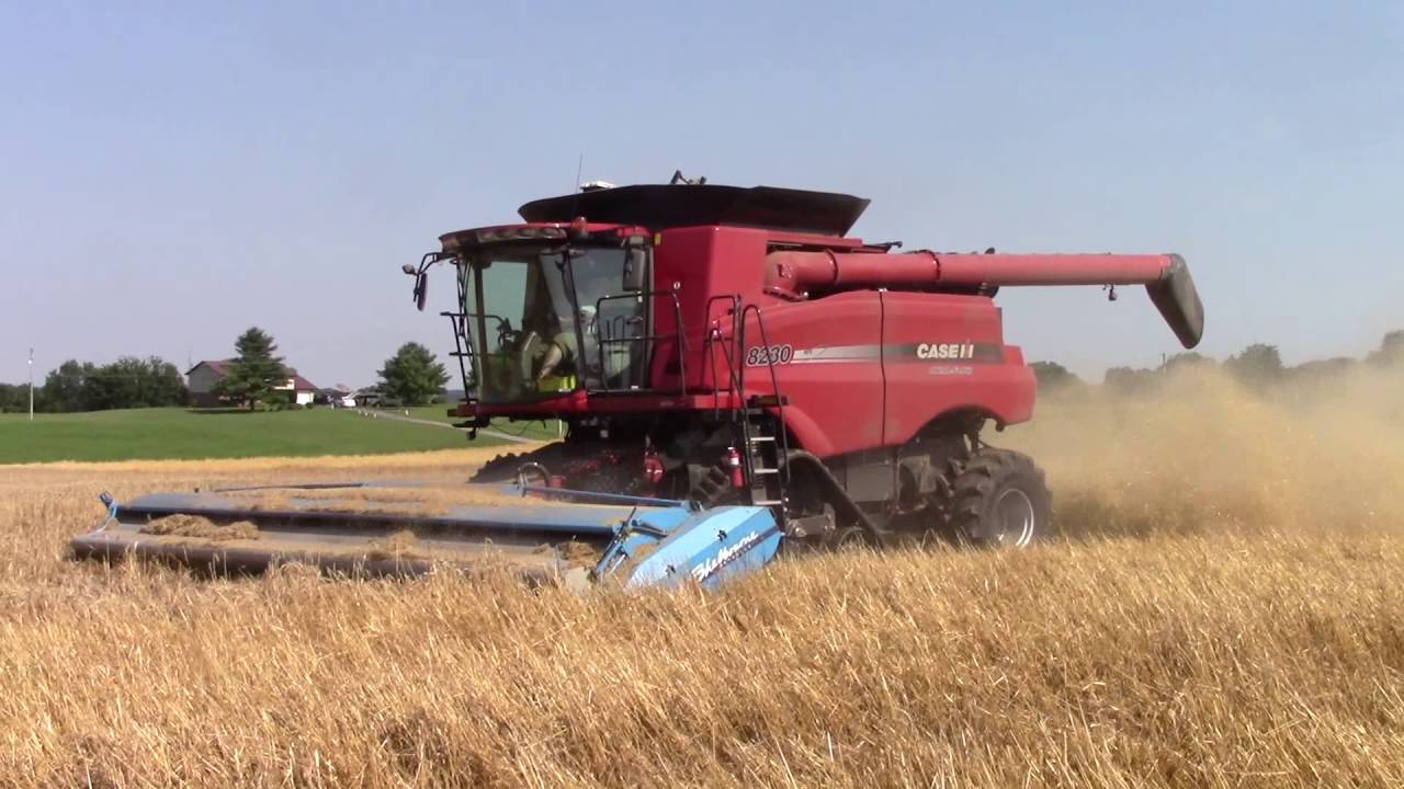 Double Crop Soybeans Following a Shelbourne Stripper Head