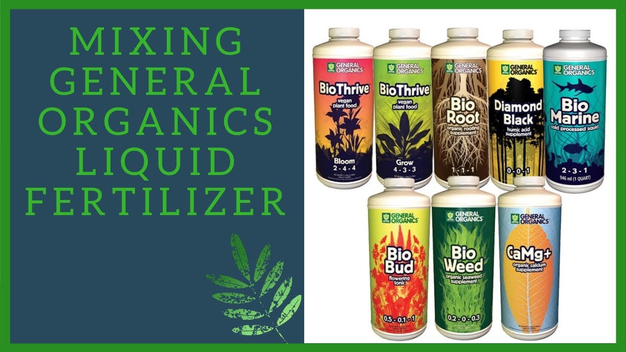 Mixing General Organics Fertilizer || Vegetative Growth