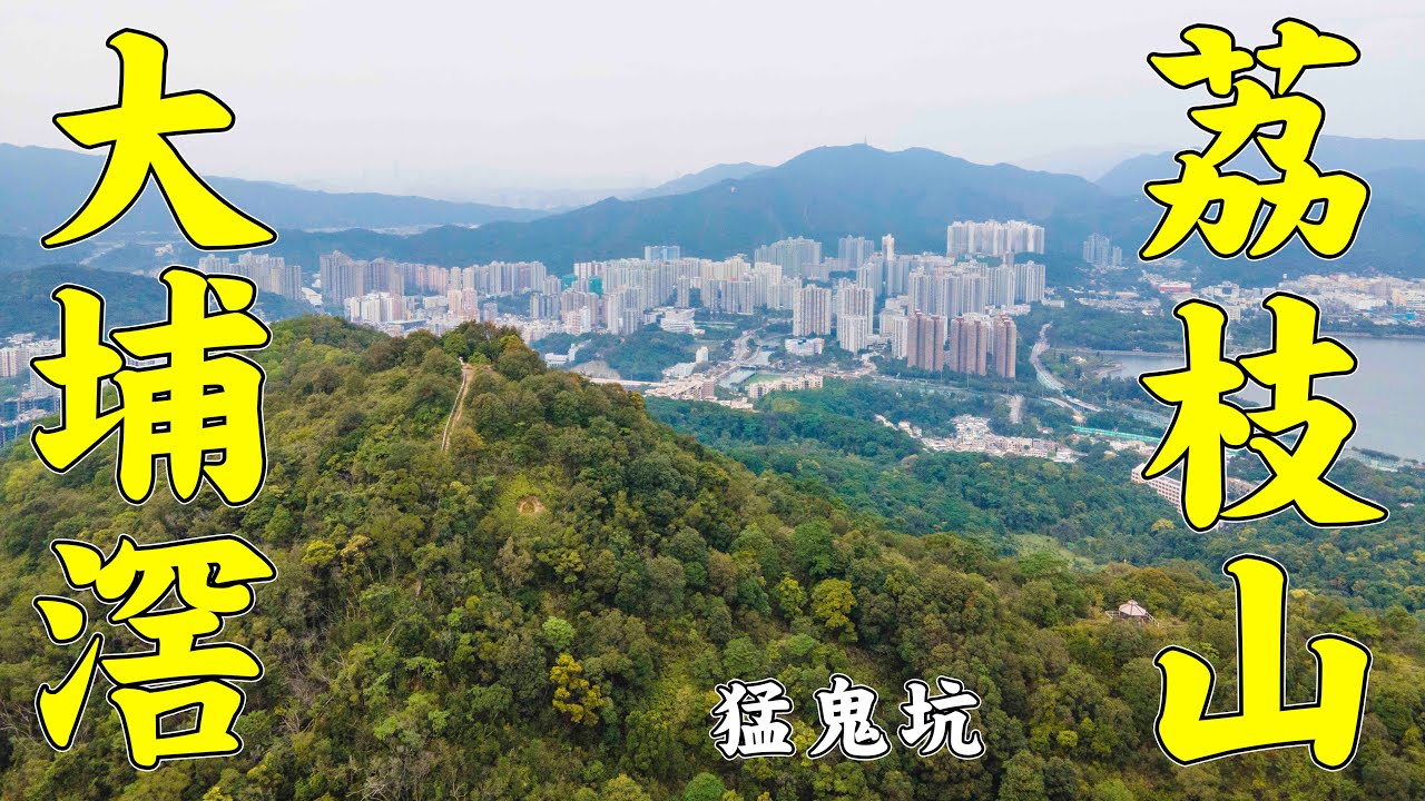 大埔滘自然護理區行去荔枝山 再行落大埔